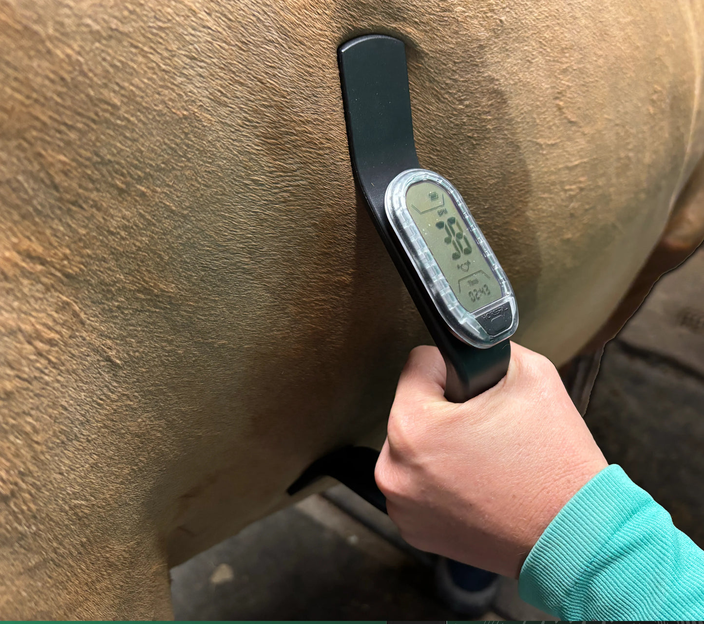 Heart Rate Monitor Handle