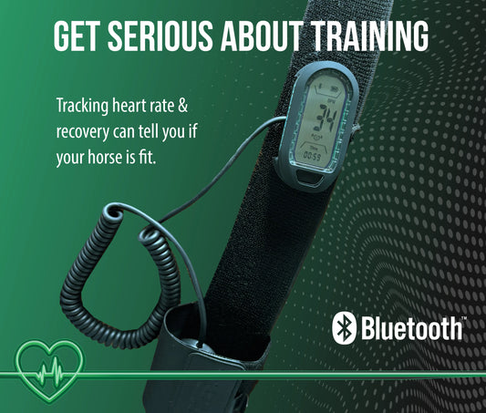 Training Belt with Extension