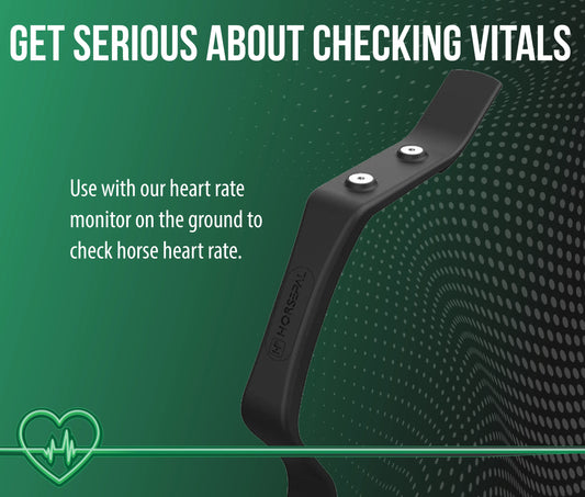 Heart Rate Monitor Handle
