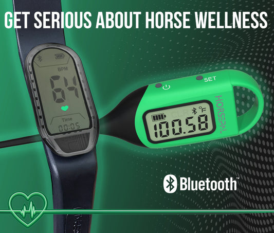 Horsepal Equine Health Check Kit