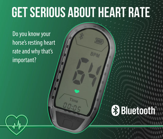 Equine Heart Rate Monitor