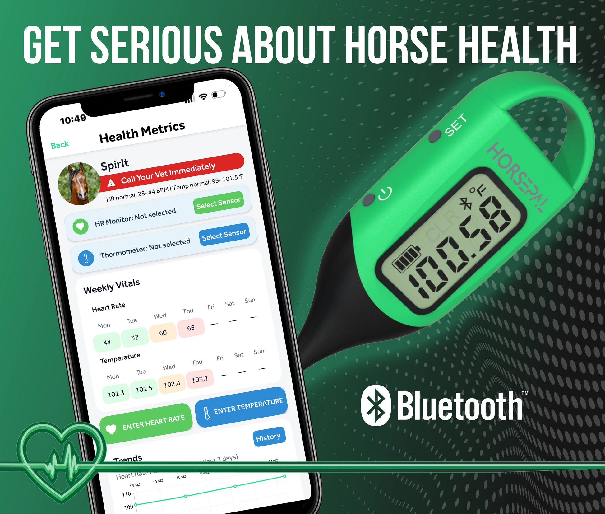 Equine Thermometer for Horse. Bluetooths to app