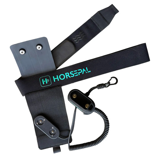Training Belt with Extension